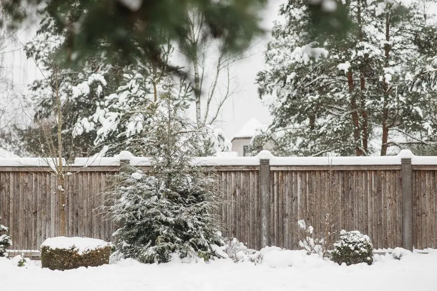 Clôture de jardin : les matériaux, les règles et le budget